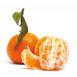 clementinecorse