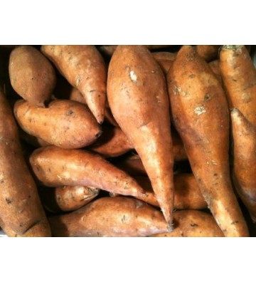 Patate douce 1Kg