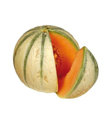 Melon pièce direct Drôme