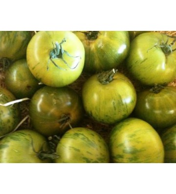 Tomate Green Zebra 1 Kg