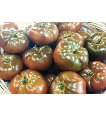 Tomate côtelée noire 1 Kg