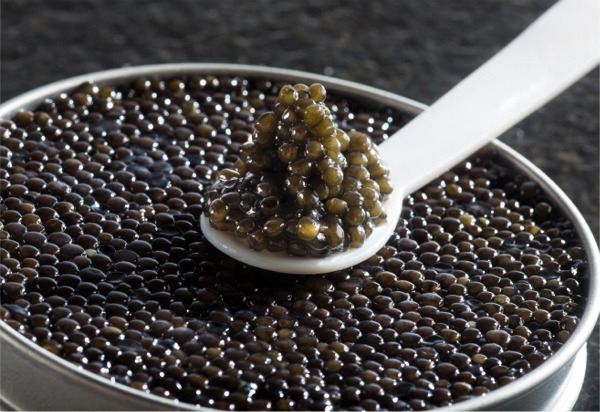 Caviar de France, boite avec cuillère de dégustation