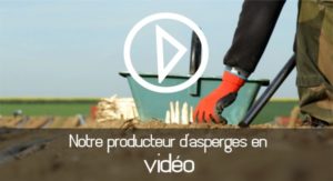 Benoit Wiart, producteur d'asperges