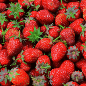 Fraises de notre production