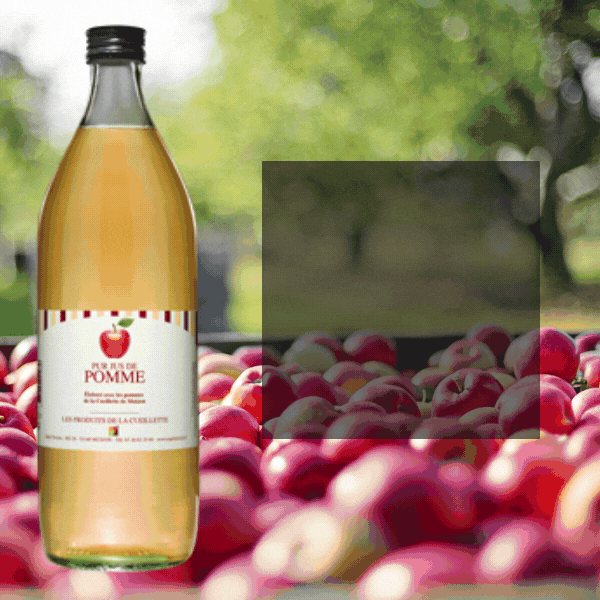 Producteur de pommes  La saison 2015 est lance   Esprit Terroirs