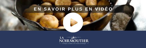 Bandeau Vidéo La Noirmoutier