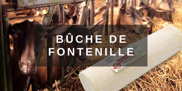 Bûche de Fontenille - Fromage de chèvre