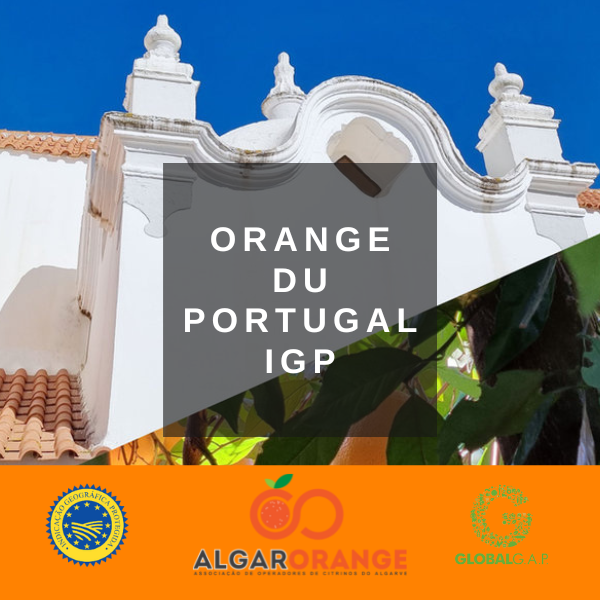 Oranges feuille du Portugal chez Esprit Terroirs A